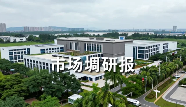 提升市场调研效率的策划服务实践建议